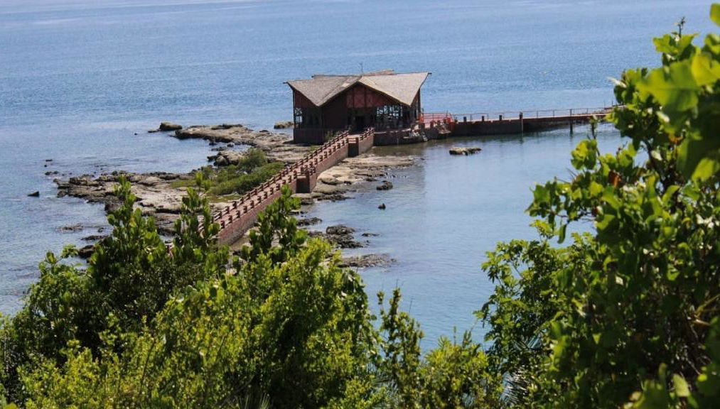 Historical and Panoramic City Tour plus Praia do Forte and Ilha dos Frades - 3 Day Tour - Foto 1